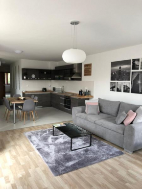Гостиница Nexus Apartmenthotel  Хевиз